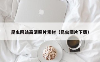 金华昆虫网站高清照片素材（昆虫图片下载）